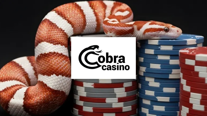 Cobra Casino im Test
