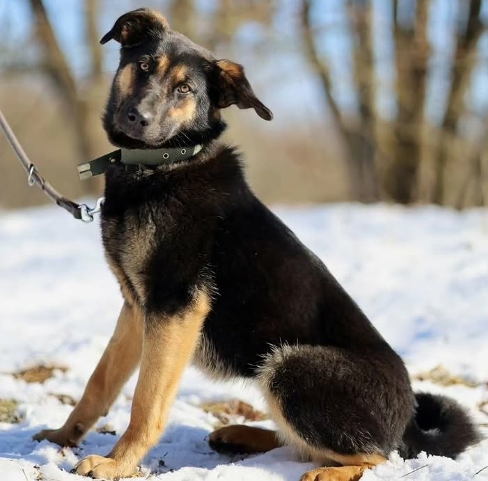 a8v Hk NX 5Ifs Meo NEa 5l GLk7d4w Ps Lq KRg Ju NWEDm F9ivw73M79g5XY xv3FAze LN5lg Dmxd Kj Wvk V5p5Qf