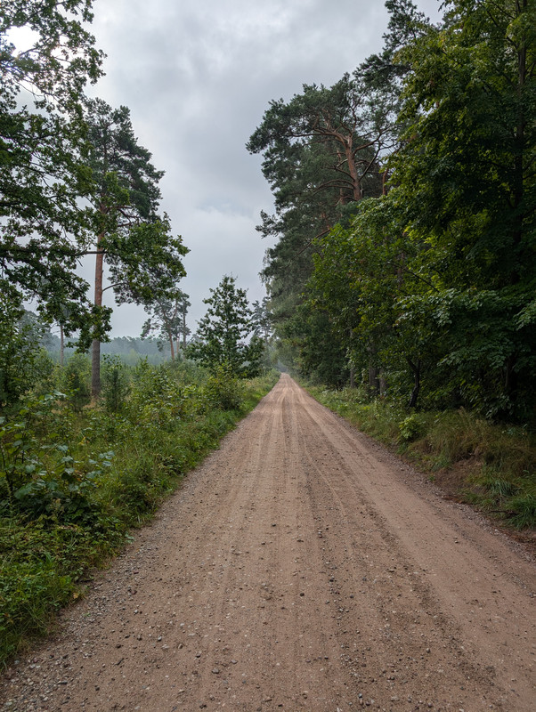 Nuotrauka fiksuota su Pixel 9 telefonu / kaipkada.lt