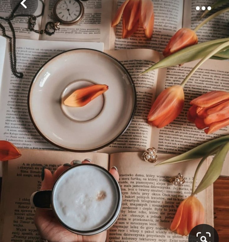 Screenshot_20231031_170458_Pinterest