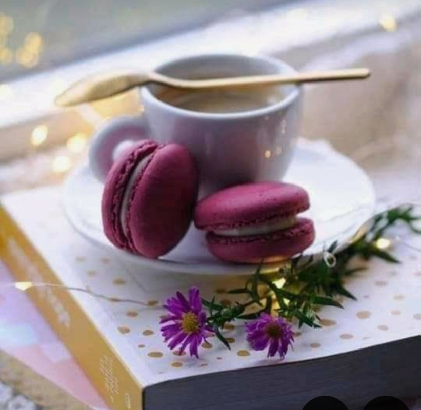 Screenshot_20240712_123943_Pinterest