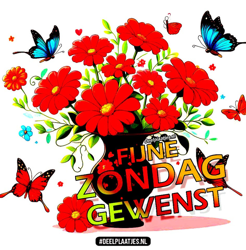 deelplaatjes-nl-fijne-zondag-gewenst-401581