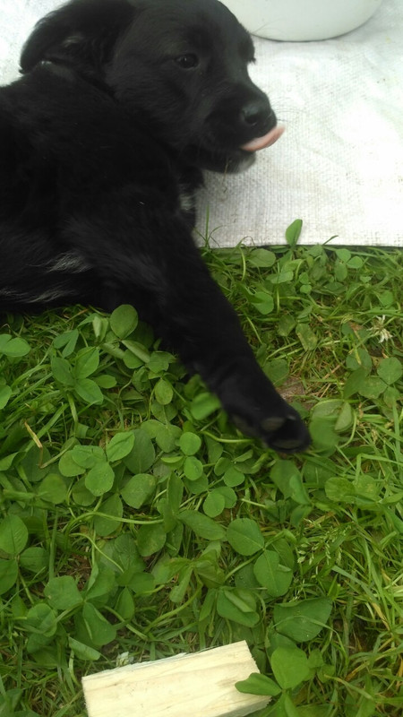 ADACF8B0-AA8C-4E9D-9B90-2AAD9494B035