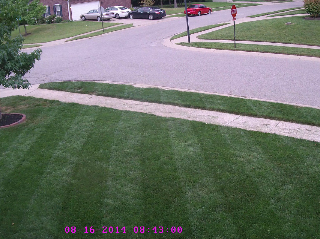front_grass_cam