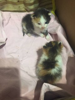 IMG_20230815_113522_759