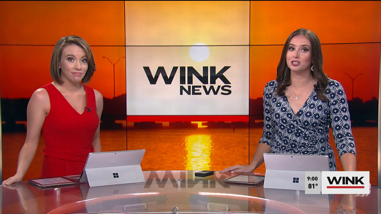 09.04 - 14.00.00 - WINK News @ 9 00AM. Local news, sports and weather.ts_snapshot_01.35.937