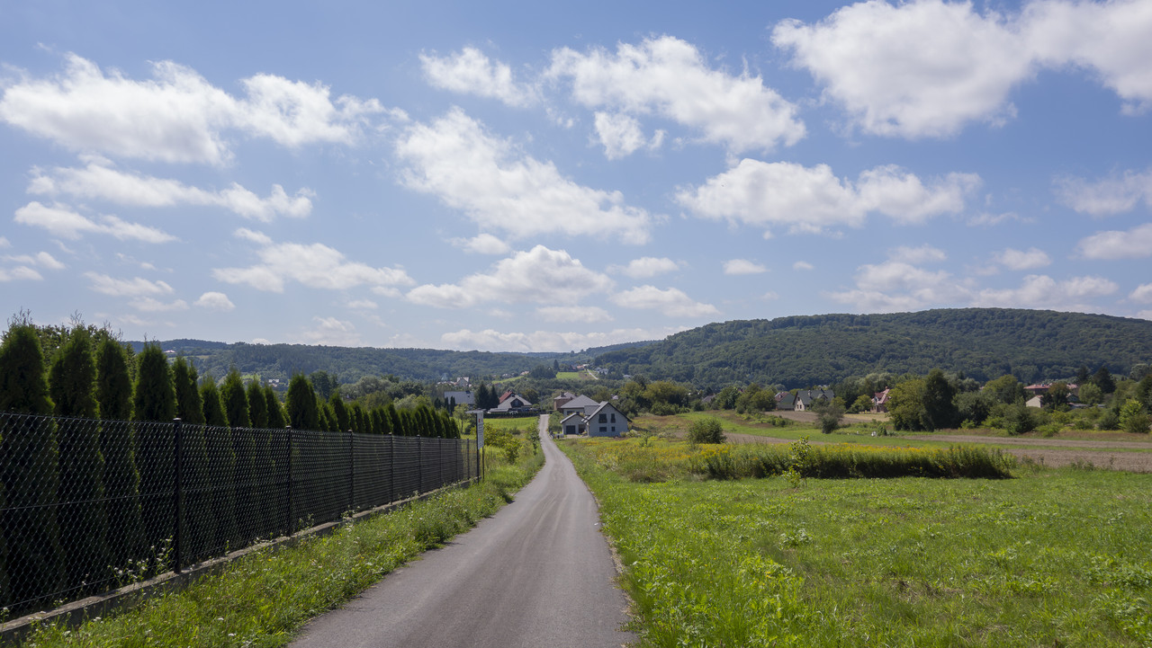 DSC04720-Poprawione-Szum.jpg