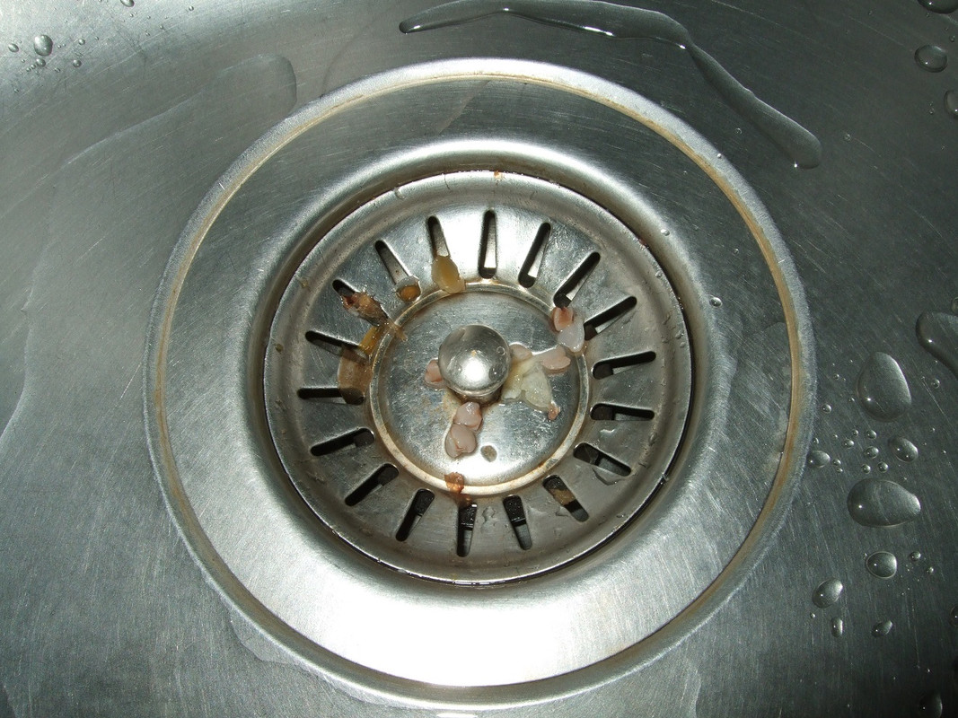DSCF5513.jpg