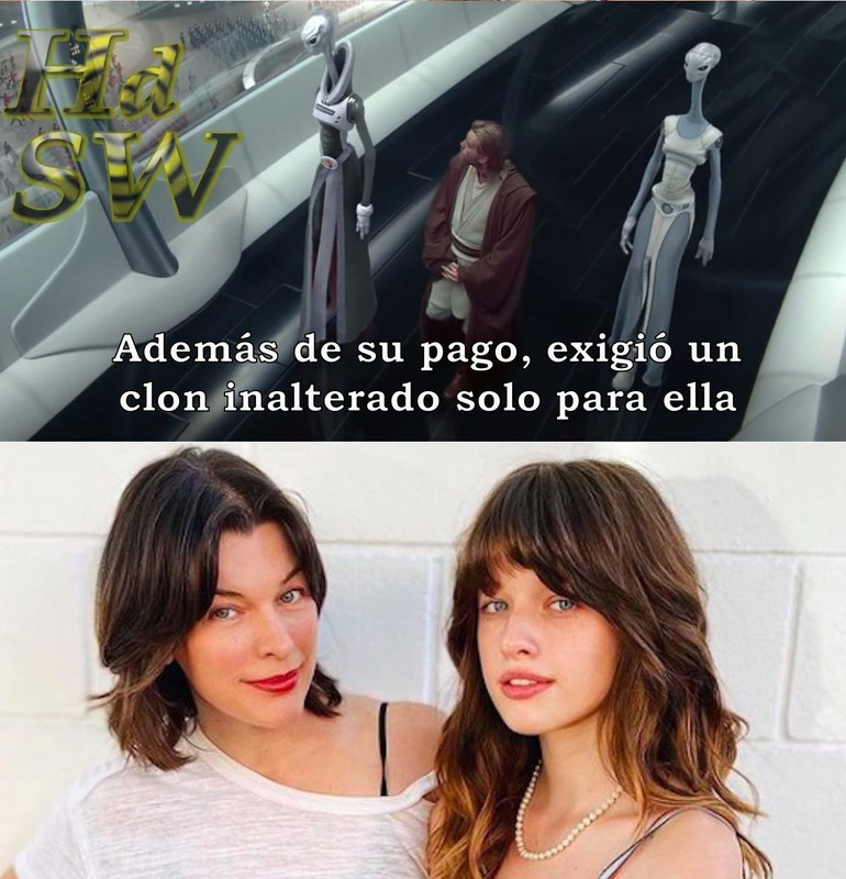 4566778.jpg