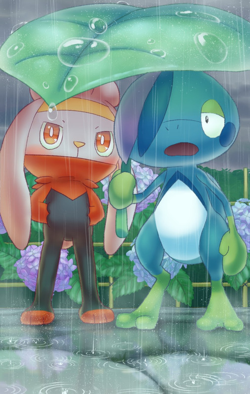 raboot-and-drizzile-pokemon-drawn-by-pur