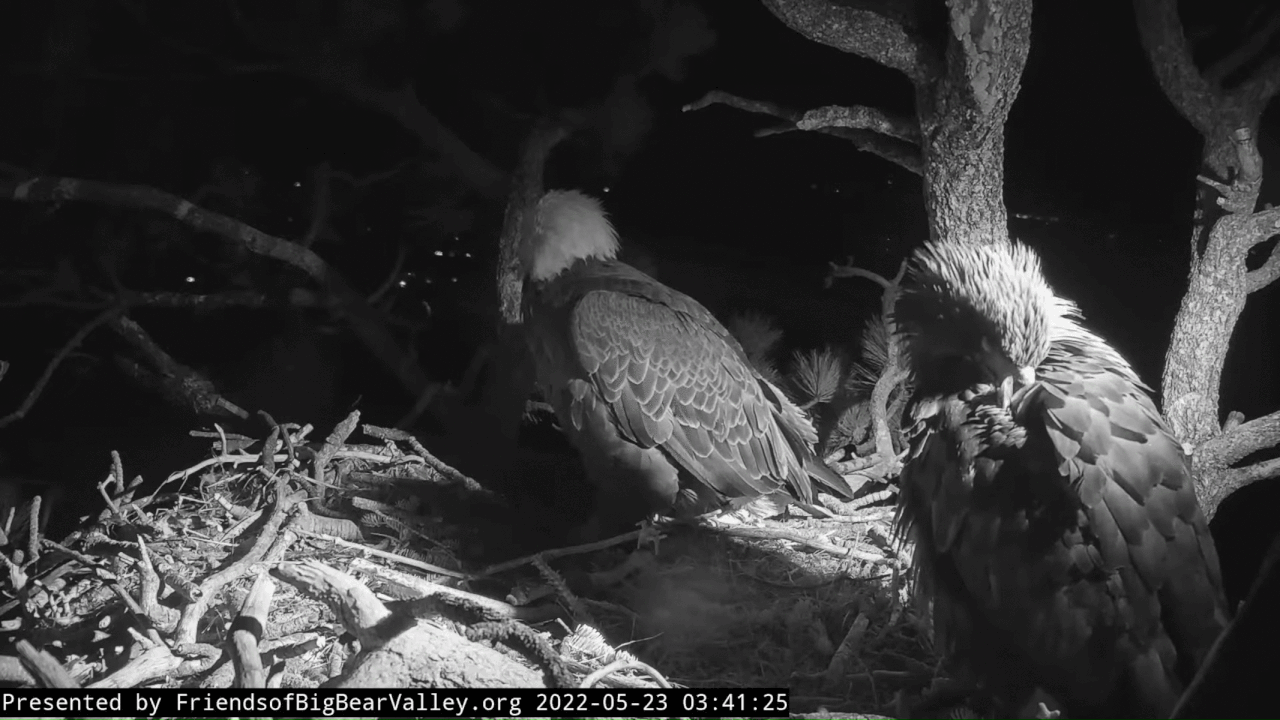 Webp.net-gifmaker (4)