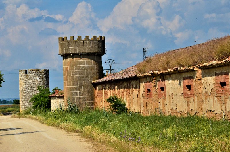 CORCOS DE AGUILAREJO-4-6-2016 - Valladolid y sus pueblos-2012/2016 (14)