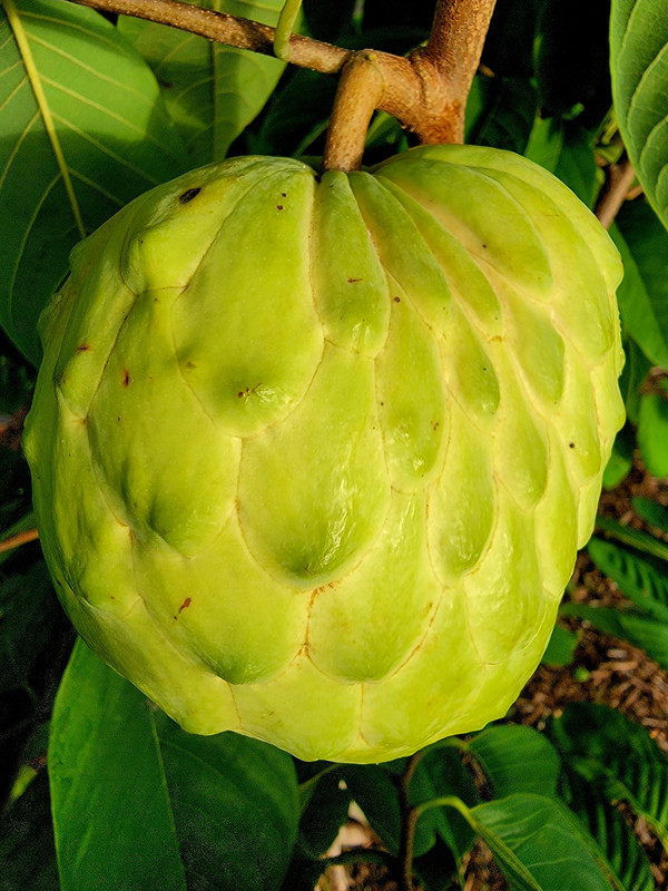 380893372_1548513409220427_2076405725169780231_n