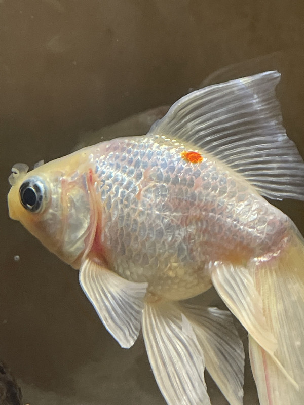 DA322C23-215C-4D04-9359-646FFB8A71F6