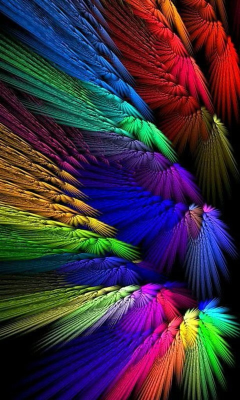 multi-feathers.jpg