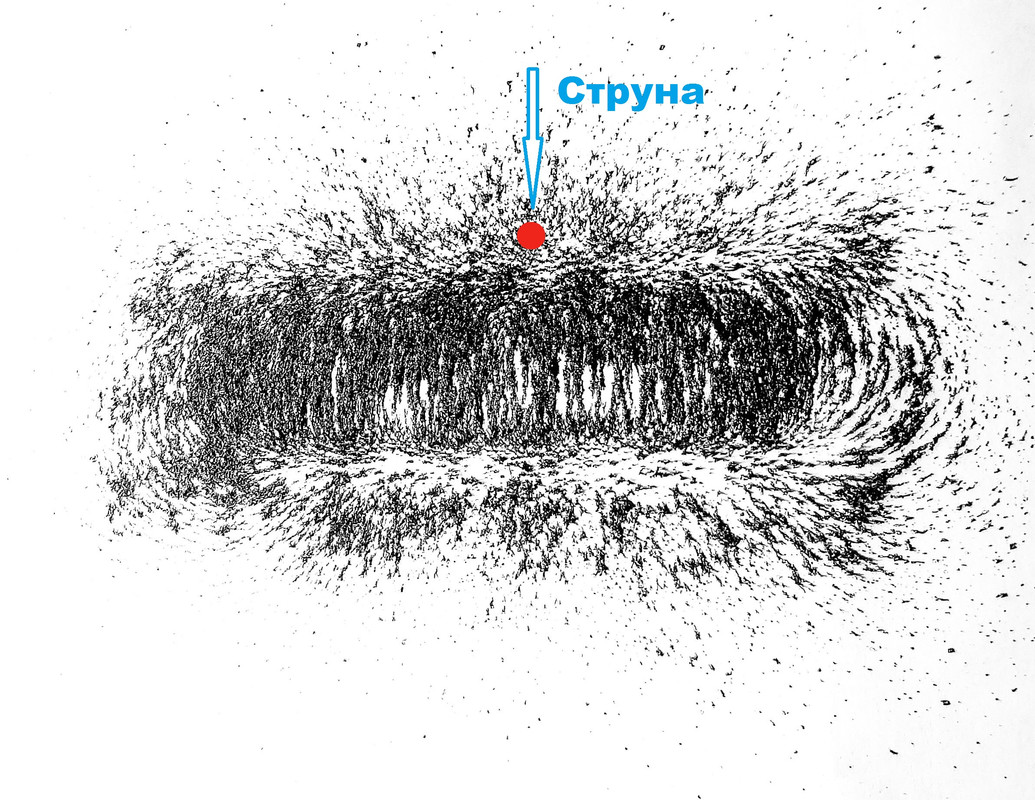 Маг. сисиема 5-струн Бас вид сбоку