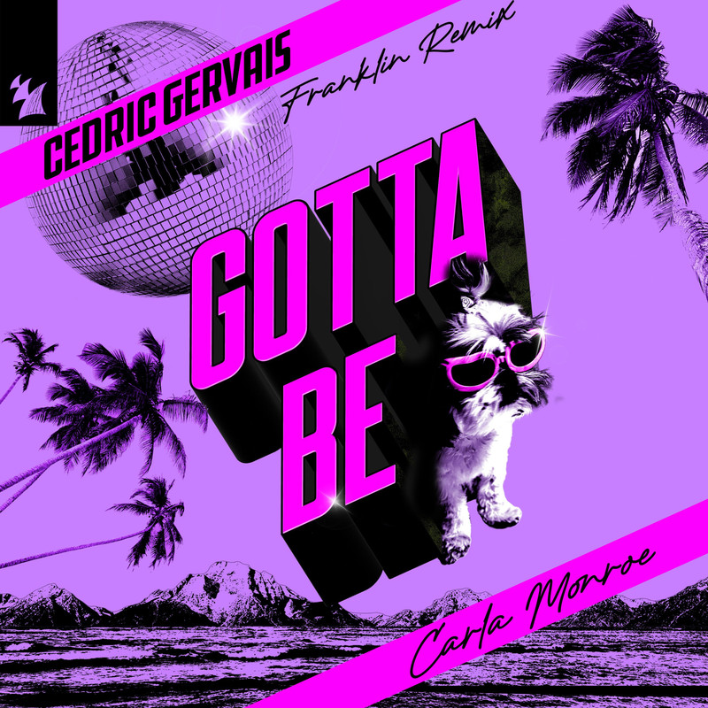 Cedric Gervais - Gotta Be (Franklin Extended Remix)