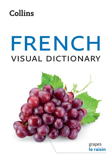 Collins French Visual Dictionary (Collins Visual Dictionaries)