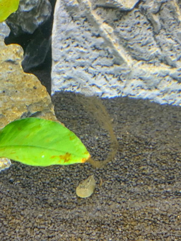 WhatsApp Image 2022-07-06 at 12.10.35 (2)