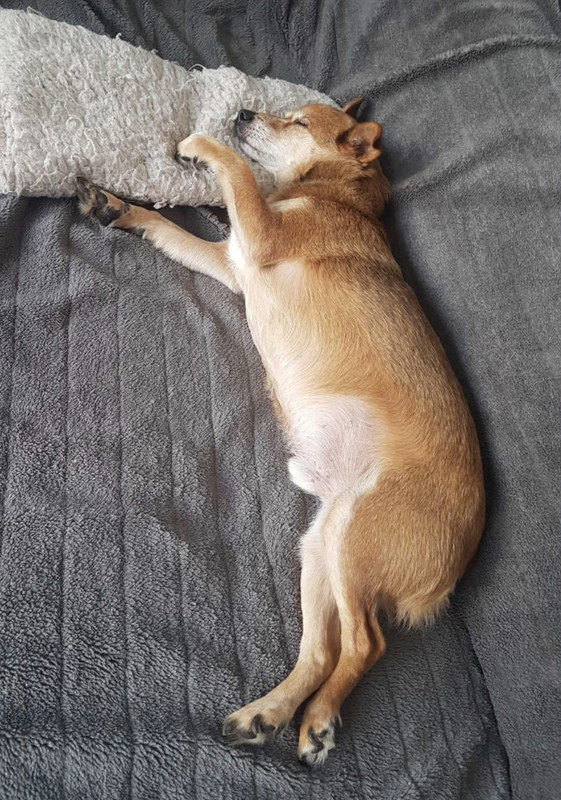 [Image: 7-BD7-ACA3-2121-4378-A399-20-A01-A75-D1-FE.jpg]