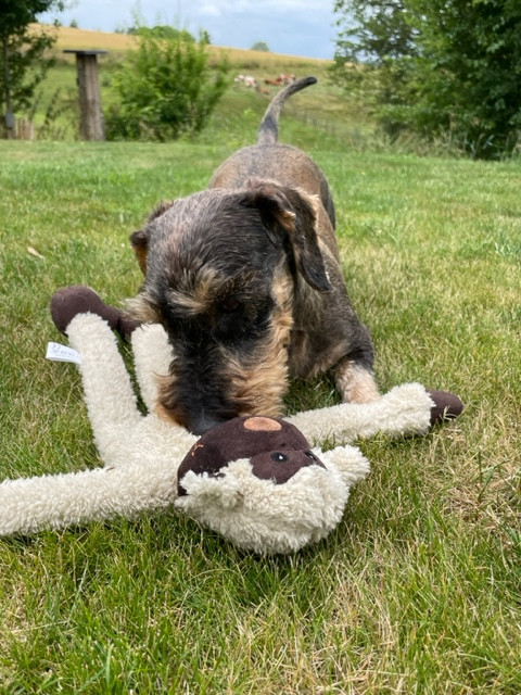 [Image: IMG-4538.jpg]