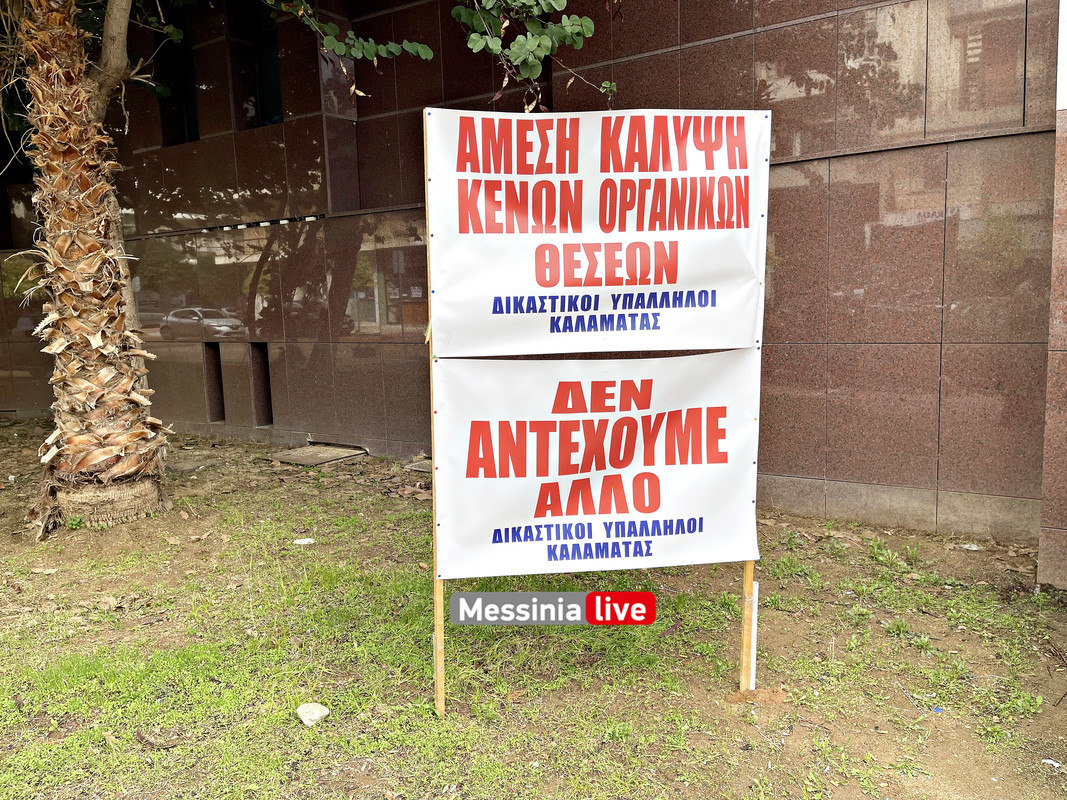 ΔΙΚΑΣΤΙΚΟΙimage00013