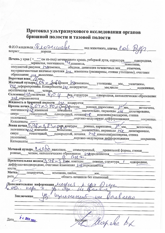 узи сердца