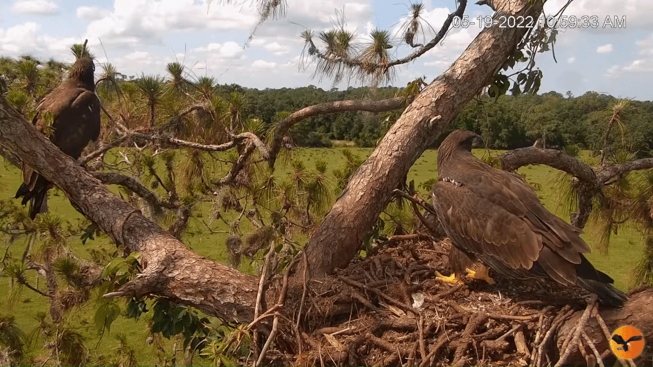 Webp.net-gifmaker (3)