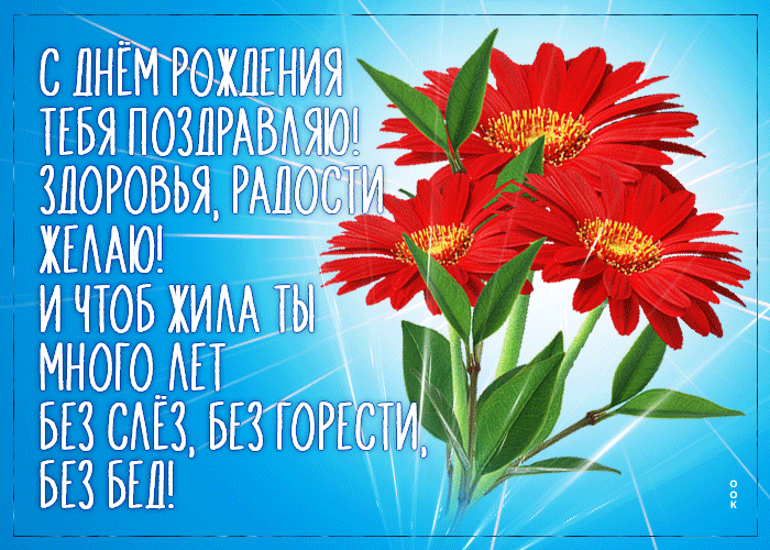 otkrytka-ctob-zila-ty-mnogo-let-bez-slez-bez-goresti-bez-bed-153444