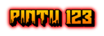 PINTU123