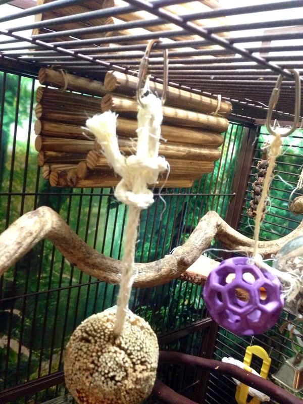 tumblr_n82hln7GiA1swpq23o3_1280