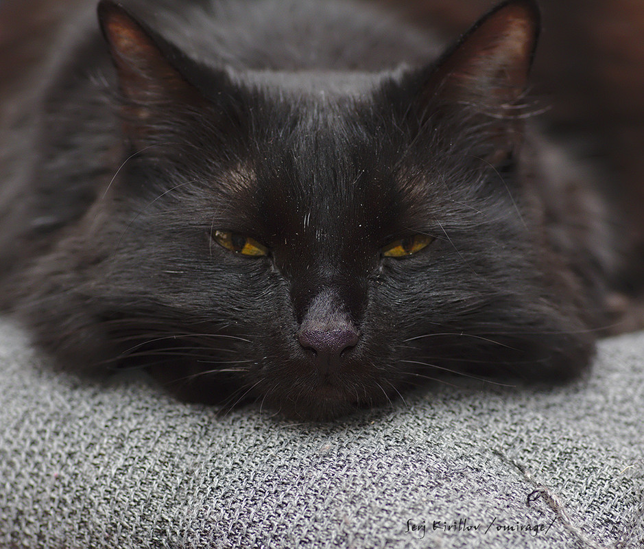 20170505T182623-6_01