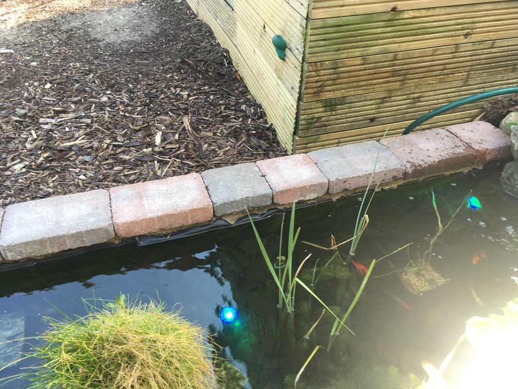 C3416223-E83E-4200-BCD1-A40816A5B2BE