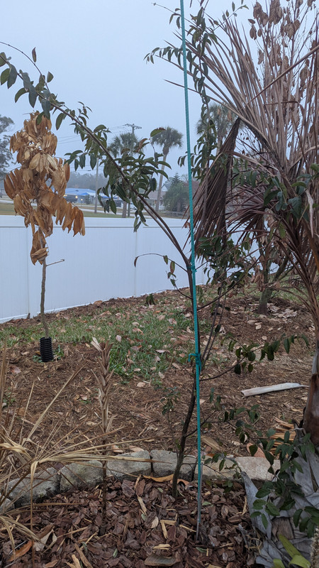 PXL 20260227 115014680 MP