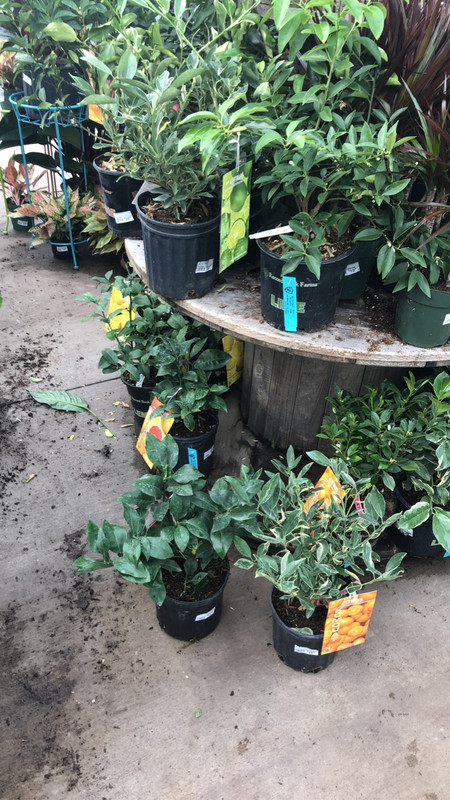 A715823B-E596-43E4-9C59-792DB72B3151