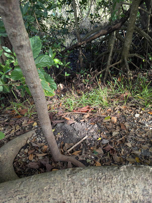 PXL_20241225_192107274