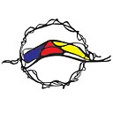 neurograficaonline