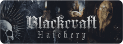 Blackcraft-Hatchery-Logo.png