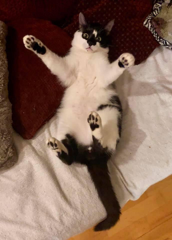 Зиг-заг Макряк 5