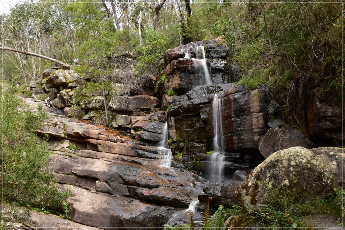 Australia (I): toma de contacto - Blogs de Australia - Grampians National Park (13)