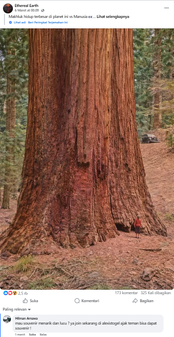 image 2026 03 08 06 33 10