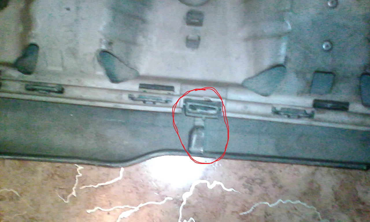 IMG_20160113_064525[1]