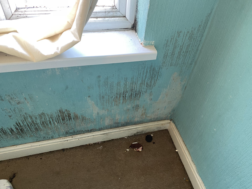 D8726269-04E2-45C0-B262-D2DAC8194B85