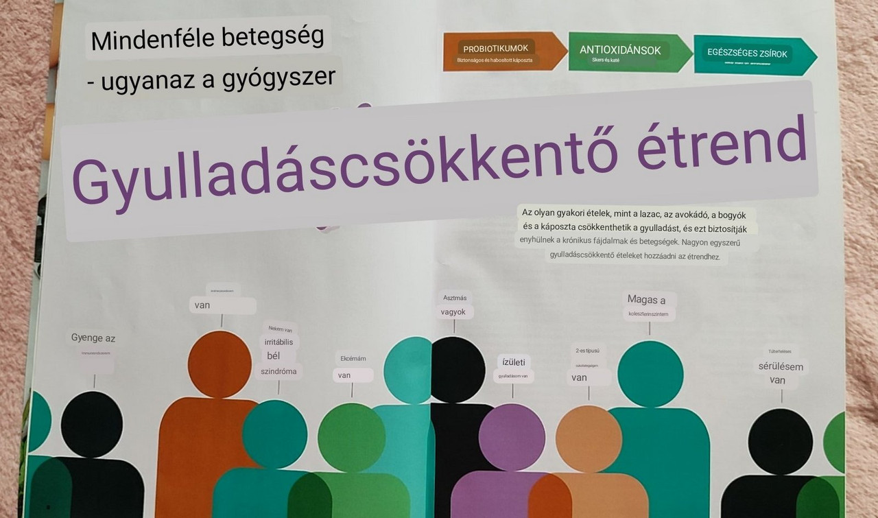 Kép