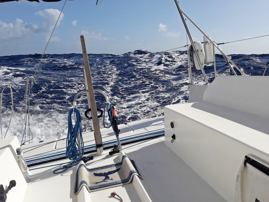 [Imagen: 20200217_071521.jpg]