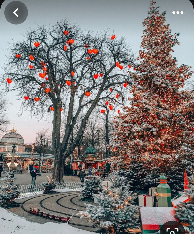 Screenshot_20231126_131224_Pinterest