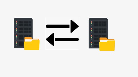 MySQL Database Backup and Restore for beginners