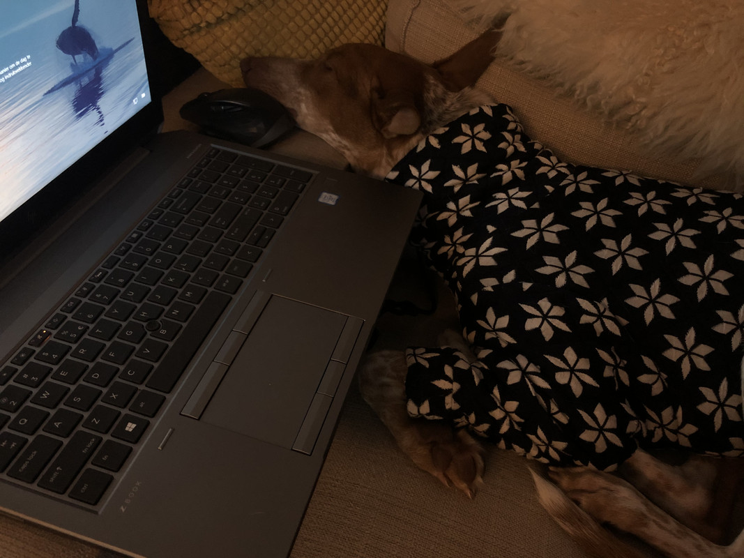 61339E03-E434-4C79-8B6A-8F894AA5EE1B