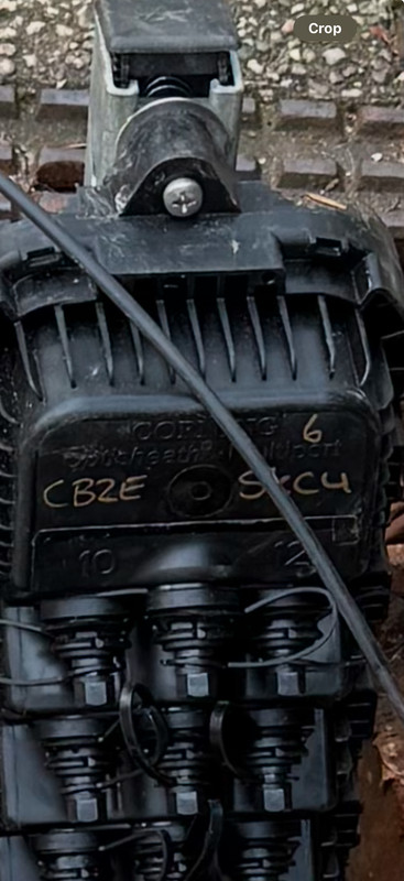 IMG_0692