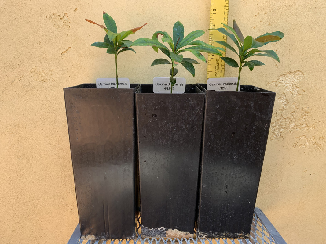 4D6F8752-03D2-4780-A830-A2C6D721D5A3